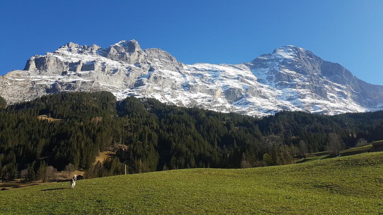 Chalet Bei Der Arve Гринделвалд Екстериор снимка